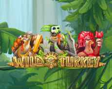 Wild Turkey
