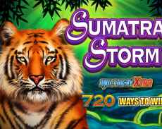 Sumatran Storm