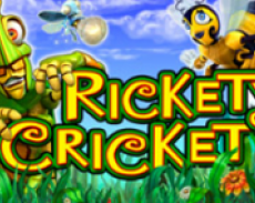 Rickety Cricket