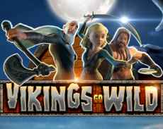 Vikings Go Wild