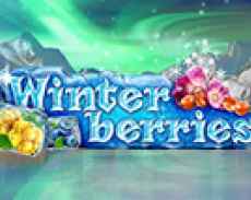 Winter Berries