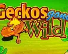 Gekos gone Wild