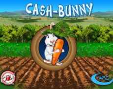 Cash Bunny