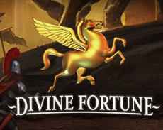 Divine Fortune