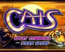 Cats