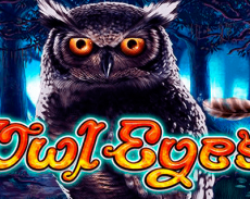 Owl Eyes