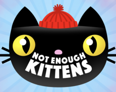 Not Enough Kittens