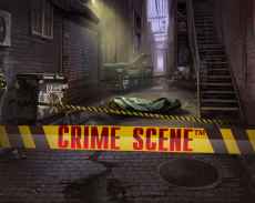 Crime Scene