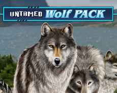 Untamed Wolf Pack