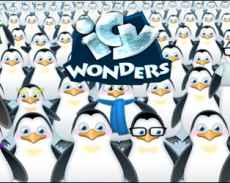 Icy Wonders