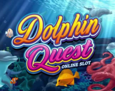 Dolphin Quest