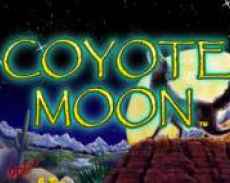 Coyote Moon
