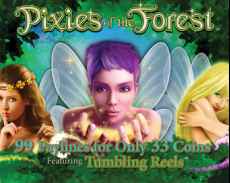 Pixies Of The Forest