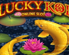 Lucky Koi
