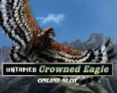 Untamed Eagle