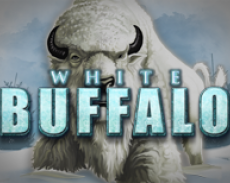 White Buffalo