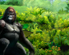 Gorilla